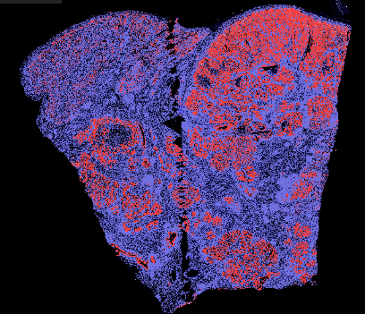 定量热图展示-A