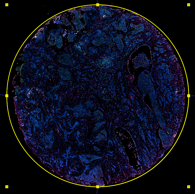 图像自动识别与切割-B