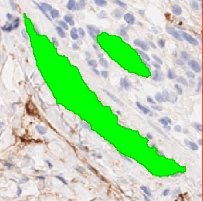 目标物定量分析-B