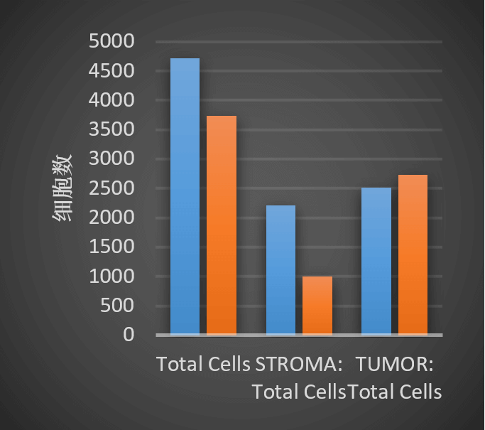 数据后处理分析-A